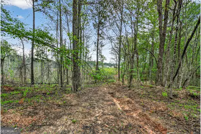 669 Pecan Grove Road, Washington, GA 30673 - Photo 32