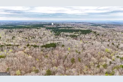 0 Felton Rockmart Road, Buchanan, GA 30113 - Photo 42