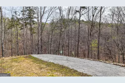 0 Felton Rockmart Road, Buchanan, GA 30113 - Photo 10