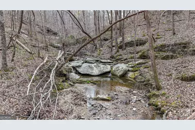 0 Felton Rockmart Road, Buchanan, GA 30113 - Photo 6