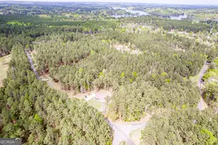 443 Scuffleboro Rd, Eatonton, GA 31024 - Photo 42