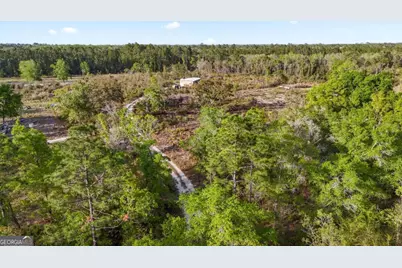 391 South Forks, Screven, GA 31560 - Photo 10