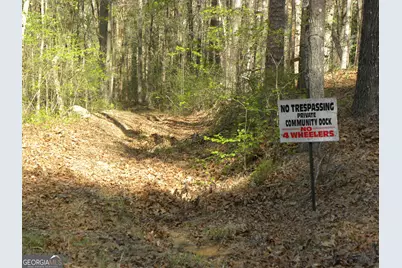 1323 Seven Forks Road, Martin, GA 30557 - Photo 16