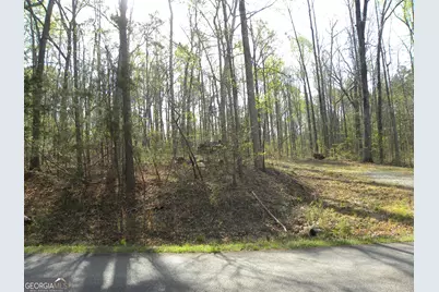 1323 Seven Forks Road, Martin, GA 30557 - Photo 2