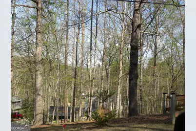 1323 Seven Forks Road, Martin, GA 30557 - Photo 12