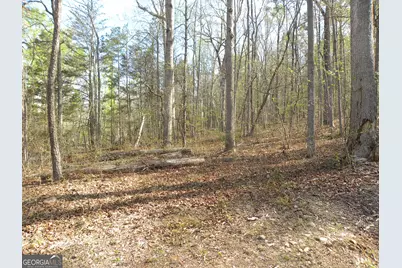 1323 Seven Forks Road, Martin, GA 30557 - Photo 18