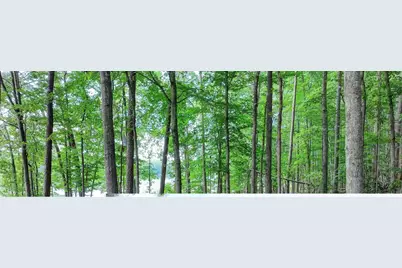 1323 Seven Forks Road, Martin, GA 30557 - Photo 30