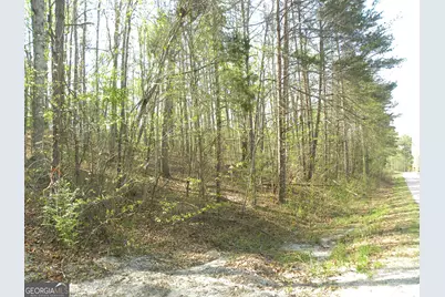 1323 Seven Forks Road, Martin, GA 30557 - Photo 10