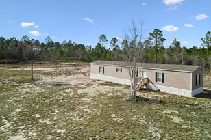 6064 S US Hwy 301, Jesup, GA 31546 - Photo 4