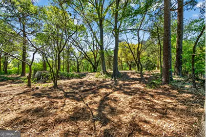 2330 Greensboro Highway, Watkinsville, GA 30677 - Photo 28