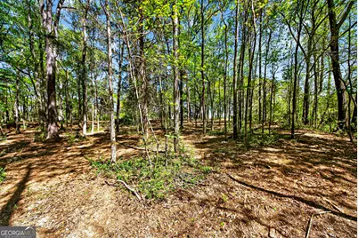 2330 Greensboro Highway, Watkinsville, GA 30677 - Photo 26