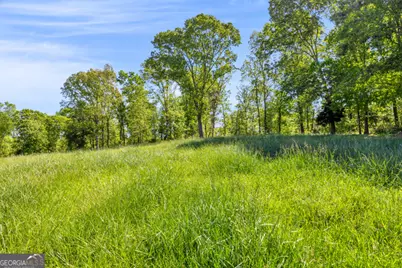 0 Gooseneck Road, Eastanollee, GA 30538 - Photo 16