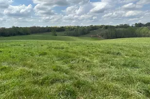 0 Gooseneck Rd, Eastanollee, GA 30538 - Photo 1