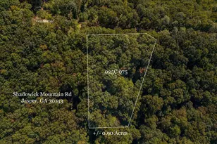 0 Shadowick Mountain Rd, Jasper, GA 30143 - Photo 1