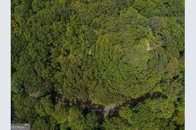 0 Denny Ridge Road, Jasper, GA 30143 - Photo 6