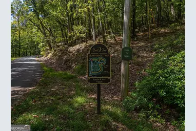 0 Denny Ridge Road, Jasper, GA 30143 - Photo 12