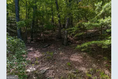 0 Little Hendricks Mountain Road, Jasper, GA 30143 - Photo 2