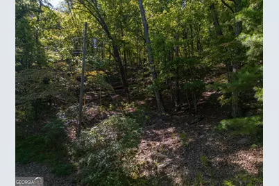 0 Little Hendricks Mountain Road, Jasper, GA 30143 - Photo 10