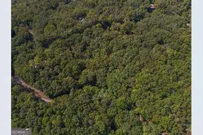 0 Little Hendricks Mountain Road, Jasper, GA 30143 - Photo 4