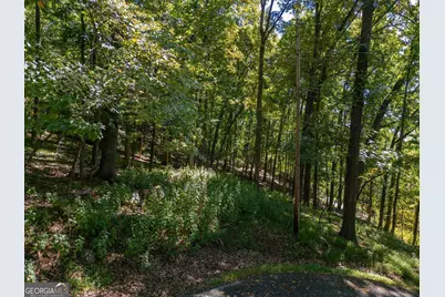 0 Valley View Vista, Jasper, GA 30143 - Photo 2