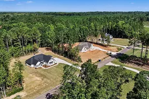 460 Flint Farms Dr, Concord, GA 30206 - Photo 44