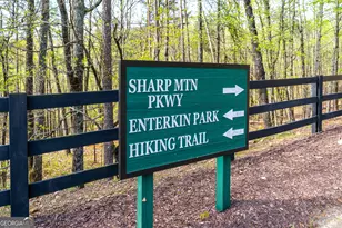 464 Stonehaven Court, Jasper, GA 30143 - Photo 40