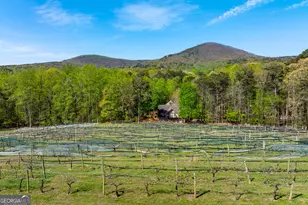 464 Stonehaven Court, Jasper, GA 30143 - Photo 54