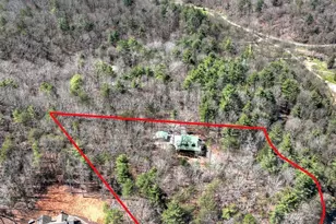 396 Dover Falls Trail, Ellijay, GA 30540 - Photo 48