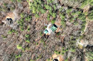 396 Dover Falls Trail, Ellijay, GA 30540 - Photo 68