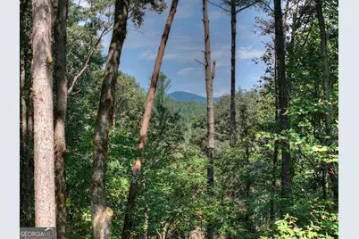 396 Dover Falls Trail, Ellijay, GA 30540 - Photo 22