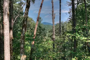 396 Dover Falls Trail, Ellijay, GA 30540 - Photo 22