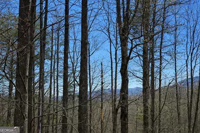 396 Dover Falls Trail, Ellijay, GA 30540 - Photo 4