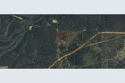 0 Nursery Road #212, Buena Vista, GA 31803 - Photo 2