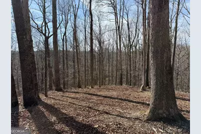 131 Nicholson Lane, Talking Rock, GA 30175 - Photo 10