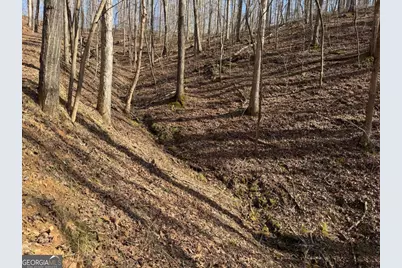 131 Nicholson Lane, Talking Rock, GA 30175 - Photo 12