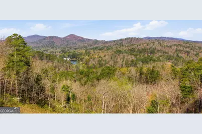 154 Brenary Drive, Lakemont, GA 30552 - Photo 48