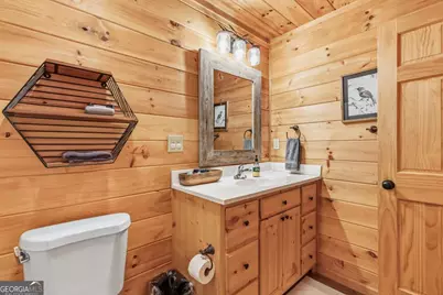 145 Fox Run Lane, Blue Ridge, GA 30513 - Photo 32