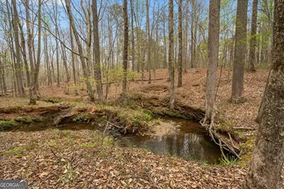 3880 Fern Springs Lane, Douglasville, GA 30135 - Photo 16