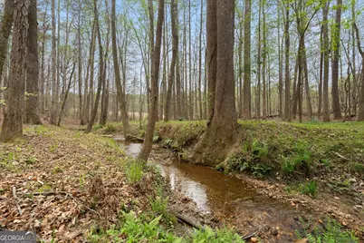3880 Fern Springs Lane, Douglasville, GA 30135 - Photo 14