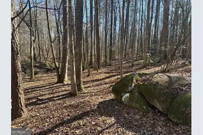 178 Crabapple Lane, Tyrone, GA 30290 - Photo 12