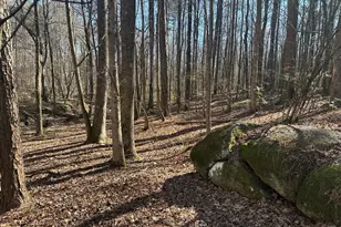 178 Crabapple Ln, Tyrone, GA 30290 - Photo 12