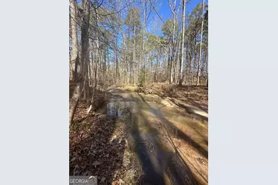 178 Crabapple Lane, Tyrone, GA 30290 - Photo 18