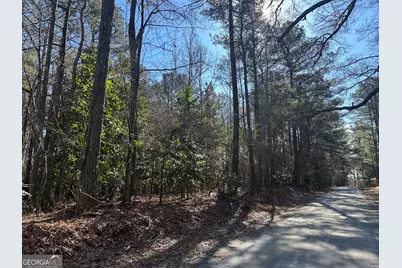 178 Crabapple Lane, Tyrone, GA 30290 - Photo 16