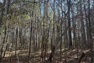 178 Crabapple Ln, Tyrone, GA 30290 - Photo 14