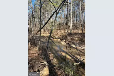 178 Crabapple Lane, Tyrone, GA 30290 - Photo 10
