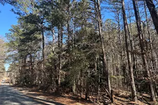 178 Crabapple Ln, Tyrone, GA 30290 - Photo 16