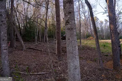 Lot 0 Delphi Hills Lane, McCaysville, GA 30555 - Photo 24