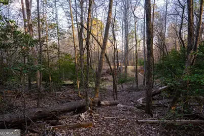 Lot 0 Delphi Hills Lane, McCaysville, GA 30555 - Photo 32