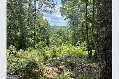 Lot 314 Pebble Trace #314, Talking Rock, GA 30175 - Photo 2