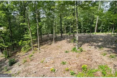 Lot 314 Pebble Trace #314, Talking Rock, GA 30175 - Photo 6